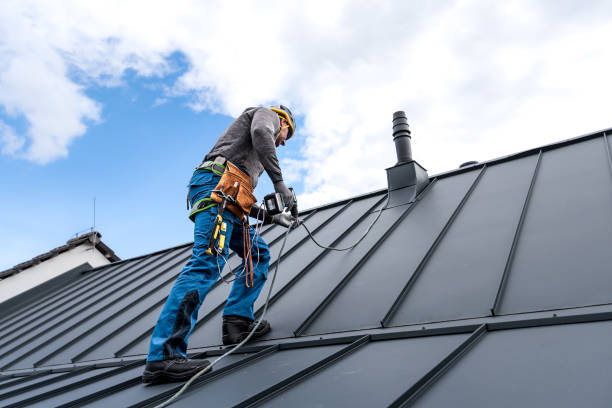 Best Roof Maintenance and Cleaning  in San Antonio, TX